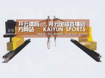 产品名称十九