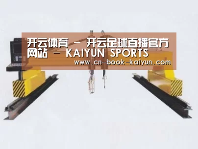 产品名称十七