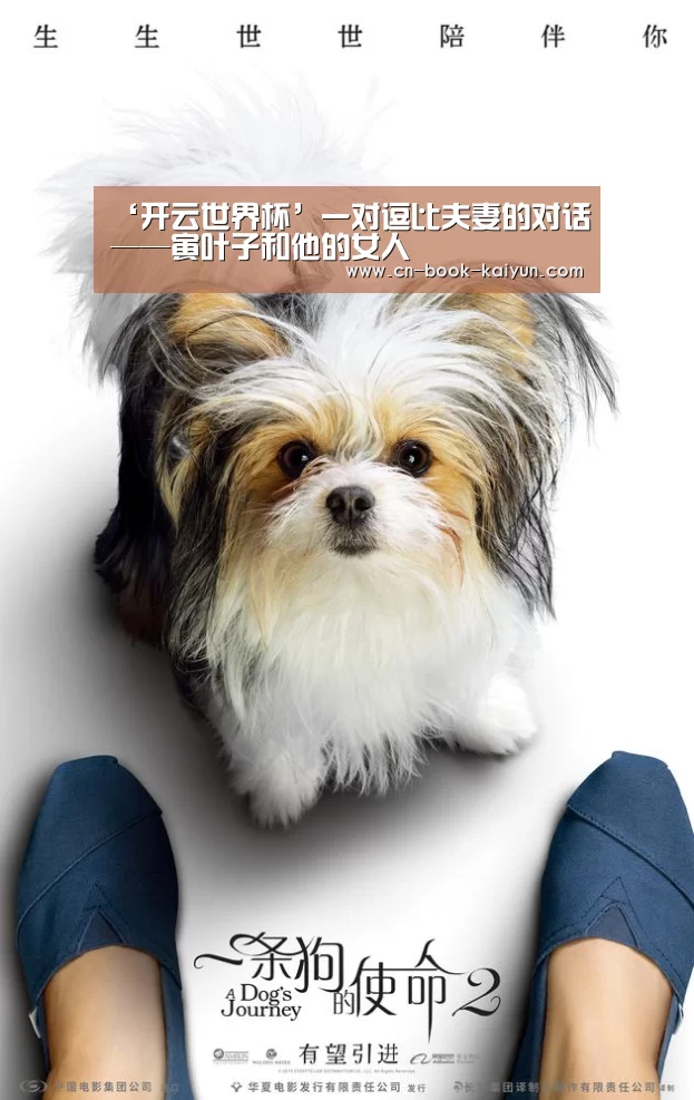 ‘开云世界杯’一对逗比夫妻的对话——寅叶子和他的女人(图2) 开云世界杯