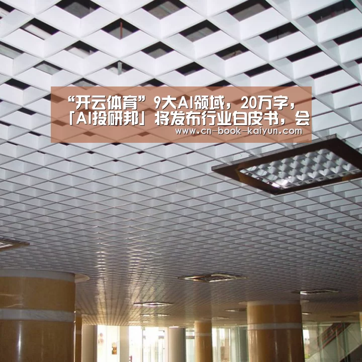 “开云体育”9大AI领域，20万字，「A